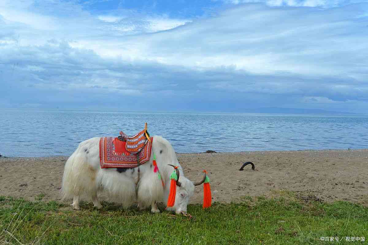 兰州旅游攻略自助游